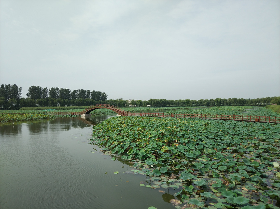 安新县旅游攻略图片