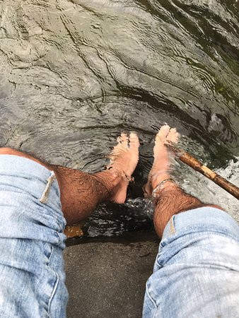 El Abrazo del Arbol主图