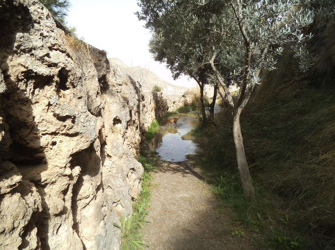 Acueducto Natural de El Toril景点图片