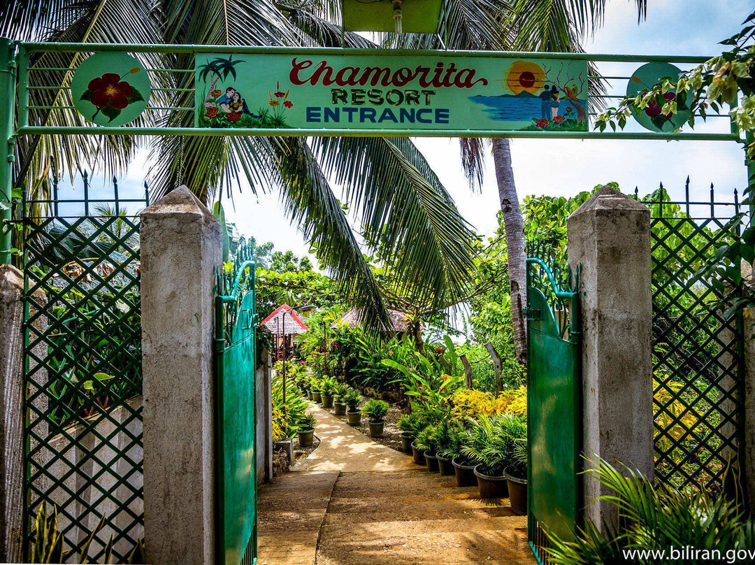 Catmon旅游攻略图片