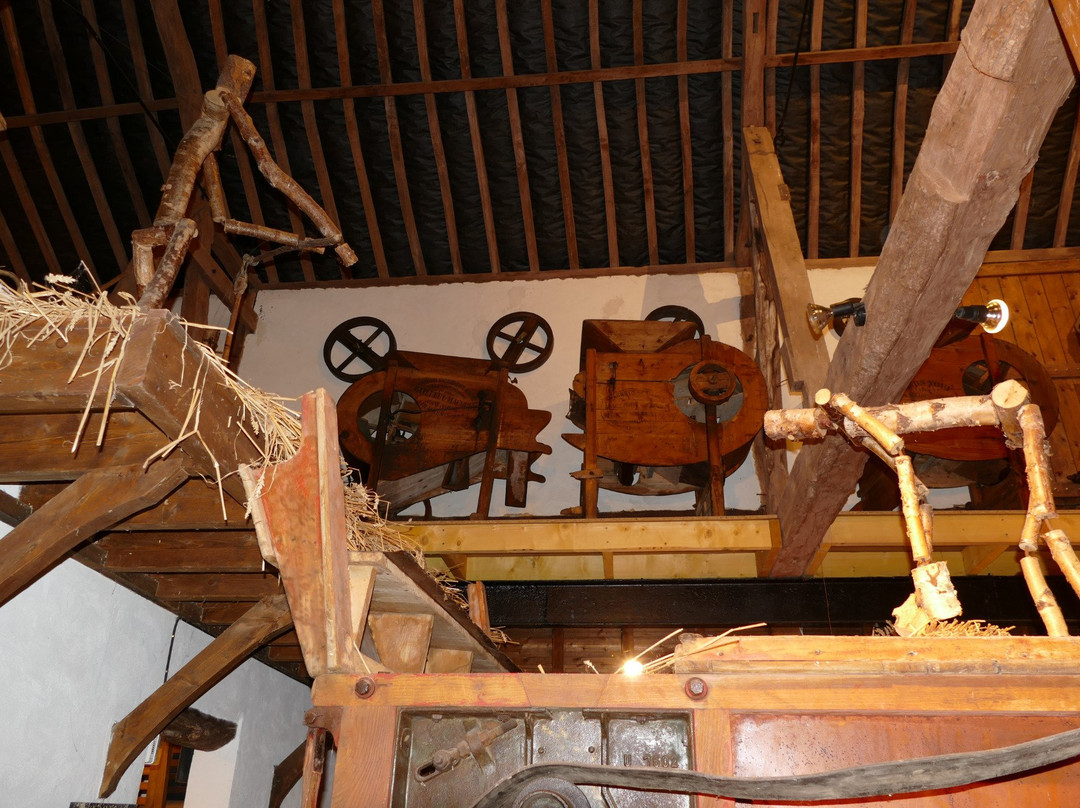 Le Musée du Verre景点图片