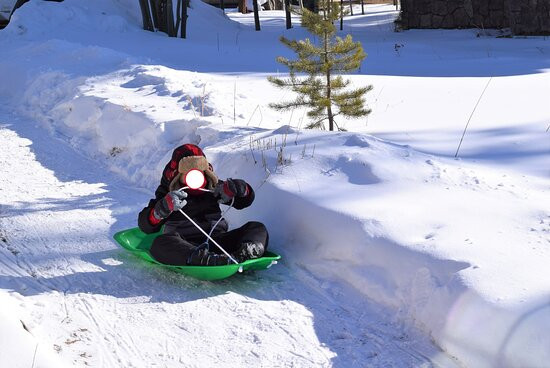 怀尔德霍斯酒店主图