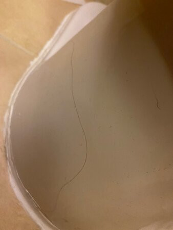 Comfort Suites Suffolk-Chesapeake主图