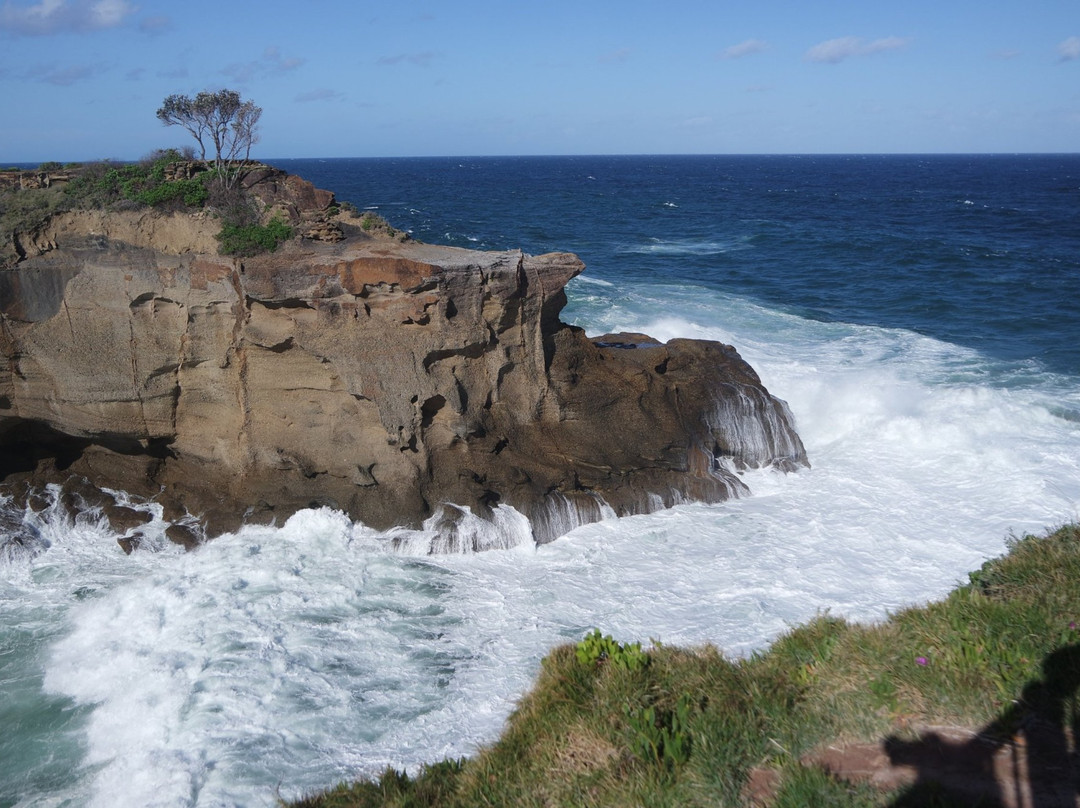 Wallarah National Park景点图片