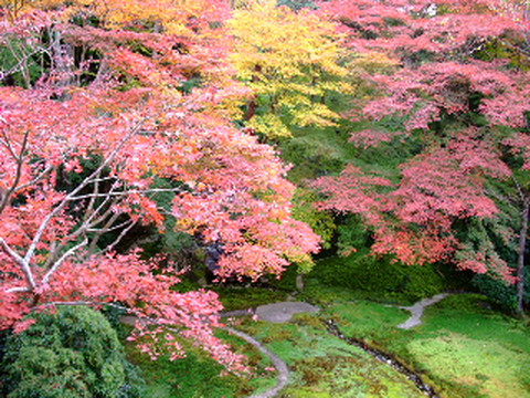瑠璃光院-京都市必去景点