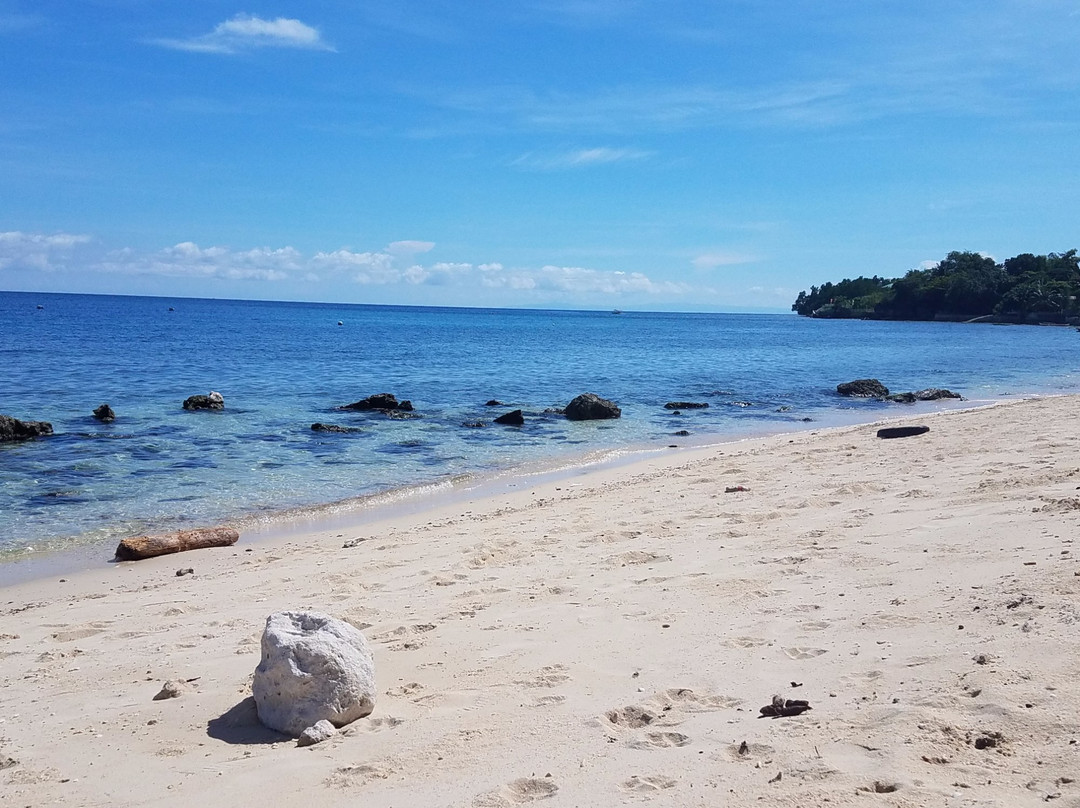 Alcoy旅游攻略图片