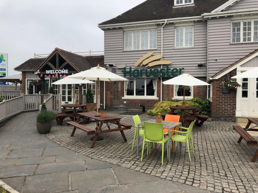 Harvester - The Jolly Badger