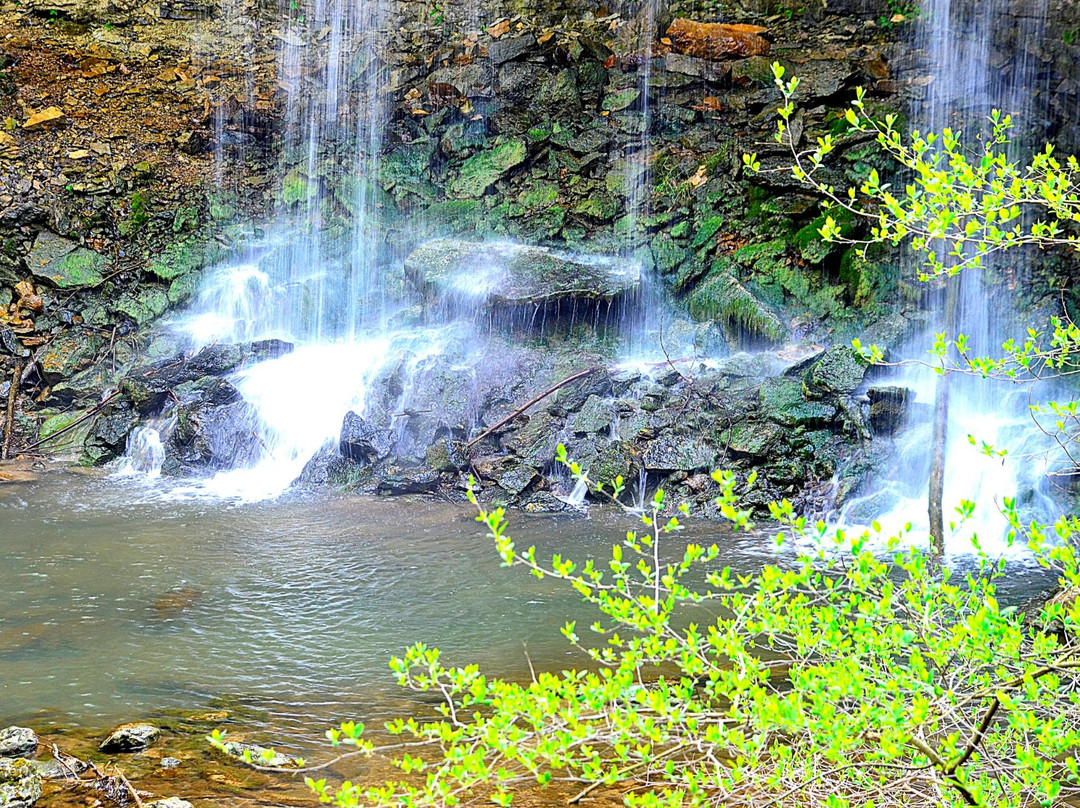 Tipp City旅游攻略图片