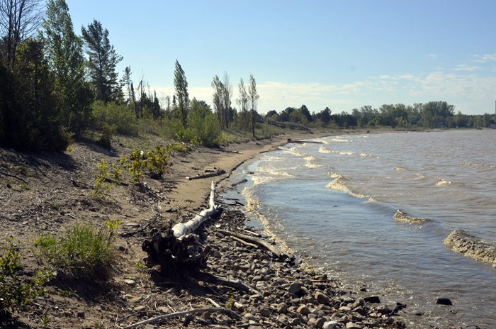 Tiverton旅游攻略图片