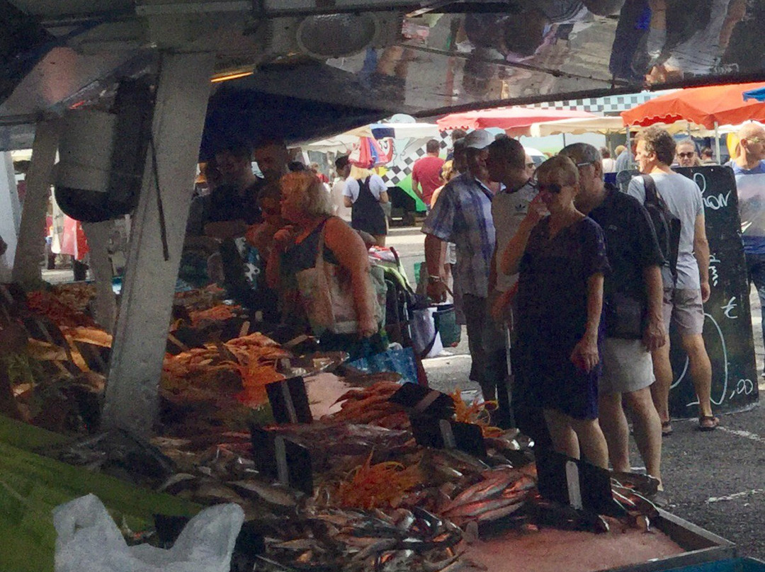 Talence旅游攻略图片