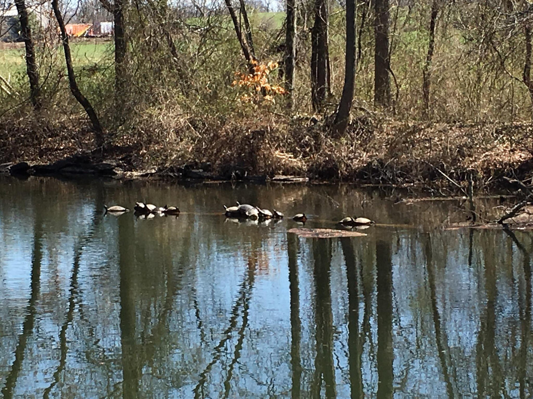 Delaware and Raritan Canal State Park-South Bound Brook必去景点