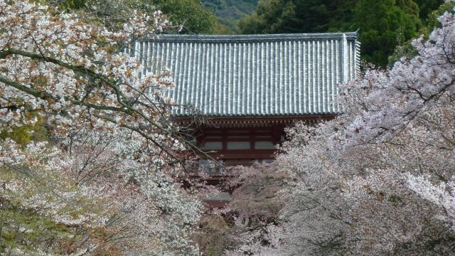 醍醐寺-京都市必去景点