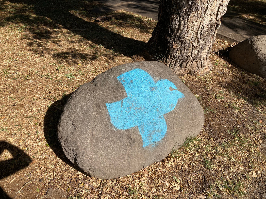 Cimetière Des Esclaves Oubliés景点图片