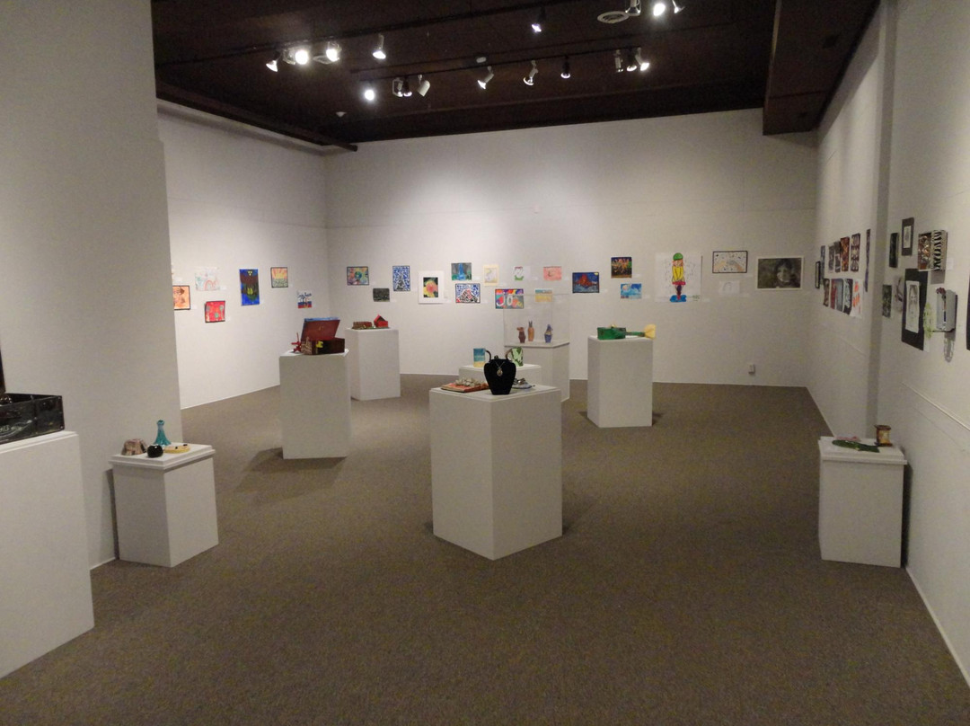 艾姆斯旅游景点-Octagon Center for the Arts