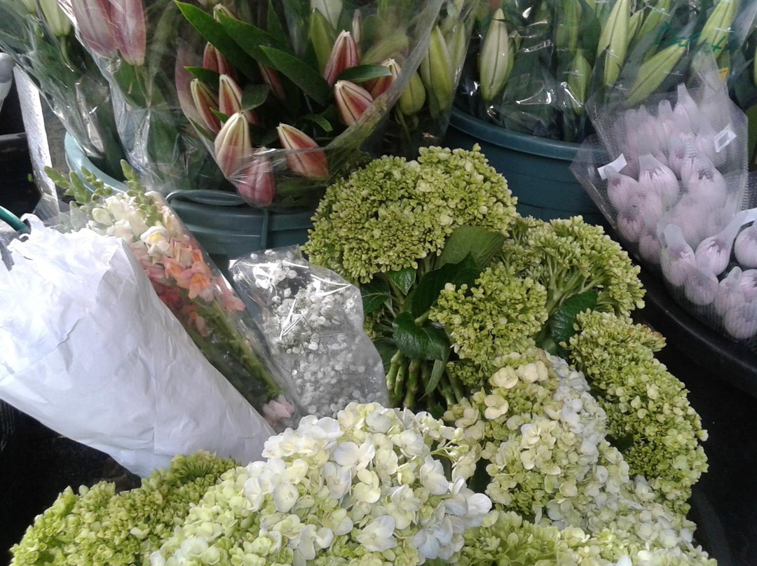 Rawa Belong Flower Market-雅加达必去景点