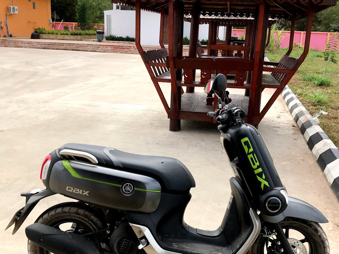Wang Wang Motor Rental