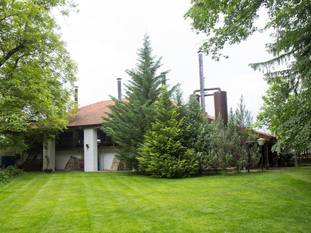 Old Enio Bonchev Distillery & Family Museum景点图片