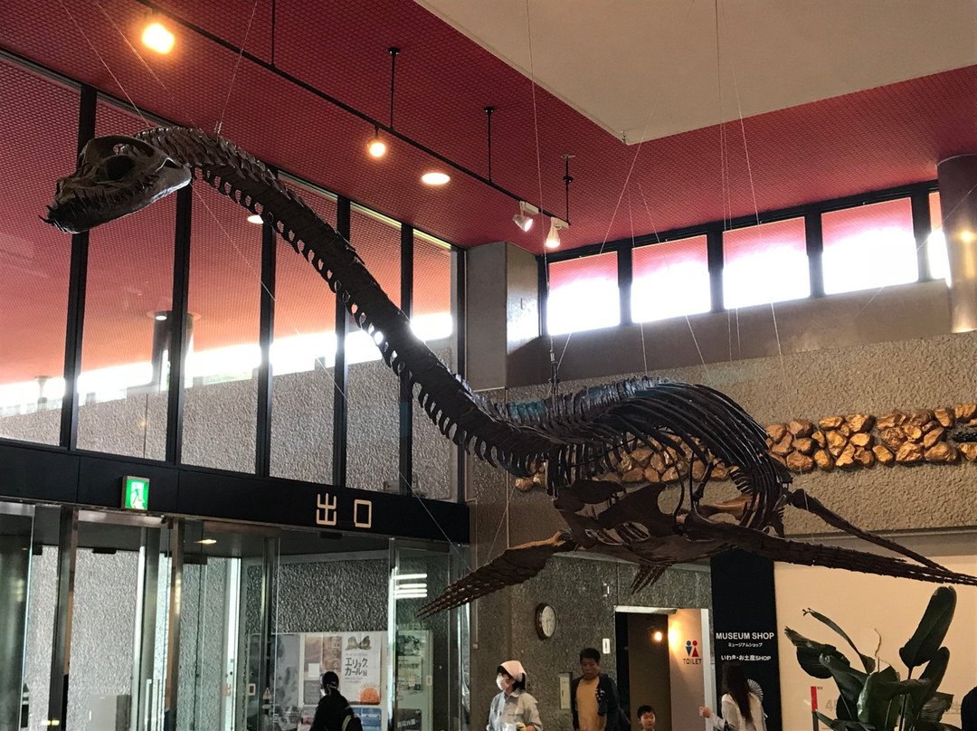 Coal & Fossil Museum
