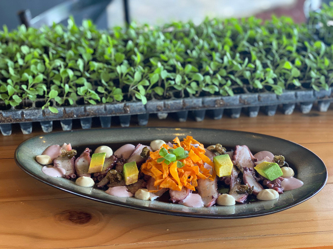 Piura - Terraza Peruana