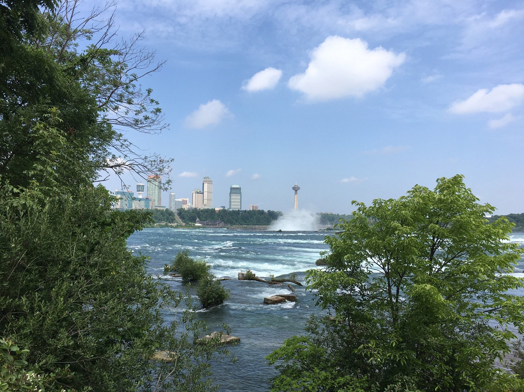 Niagara Scow景点图片