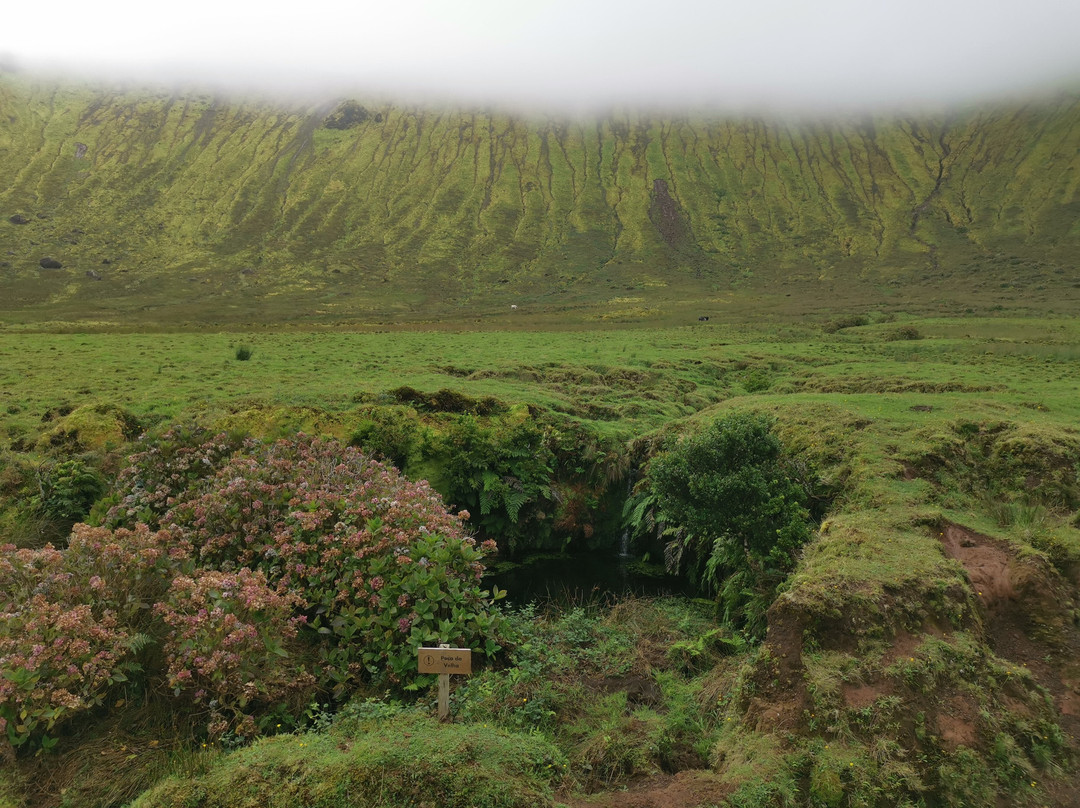 Lagoa Do Caldeirão Do Corvo景点图片