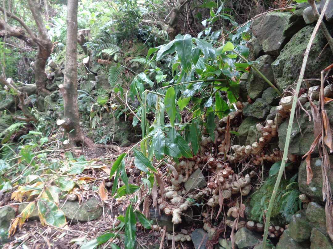 Cascata Pequena