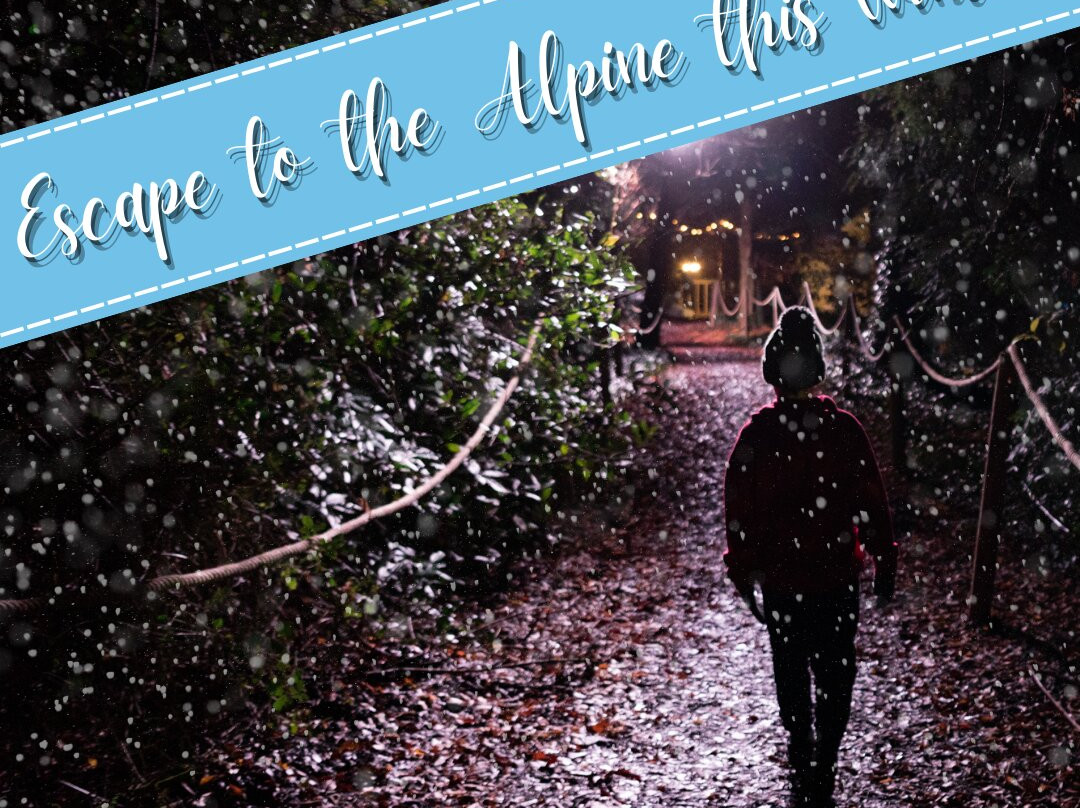 Alpine Skate Trail