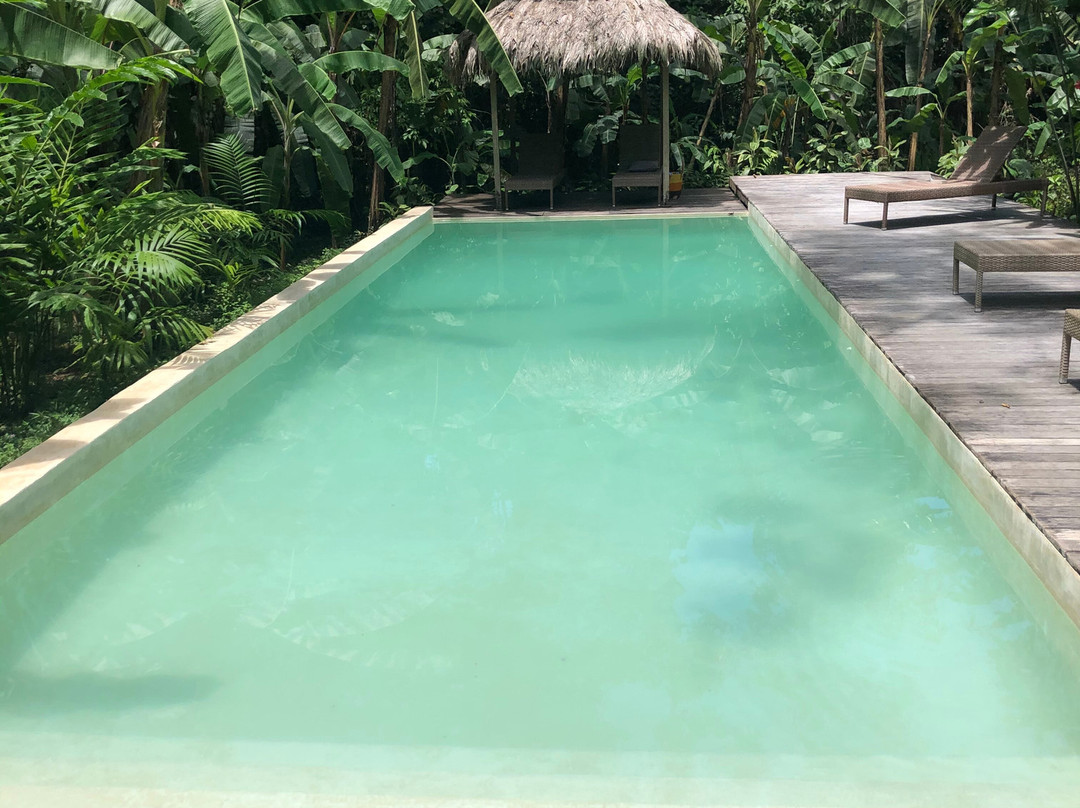 Golfo Dulce Retreat主图