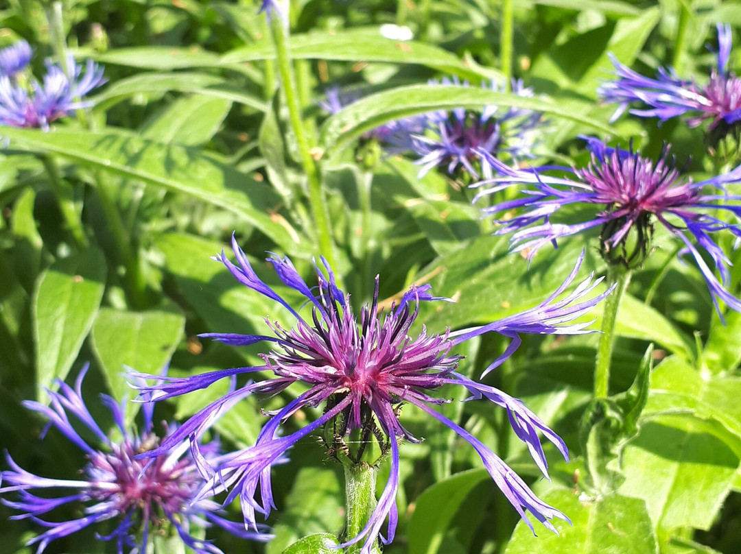 Hortsanan Arboretum-Orivesi必去景点