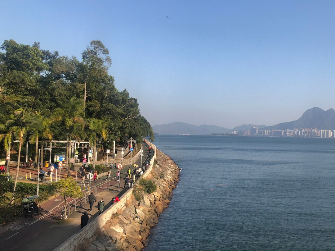 大埔海滨公园-香港必去景点