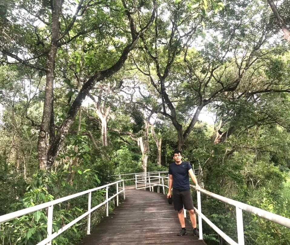 Parque Municipal Flor Do Ipê景点图片
