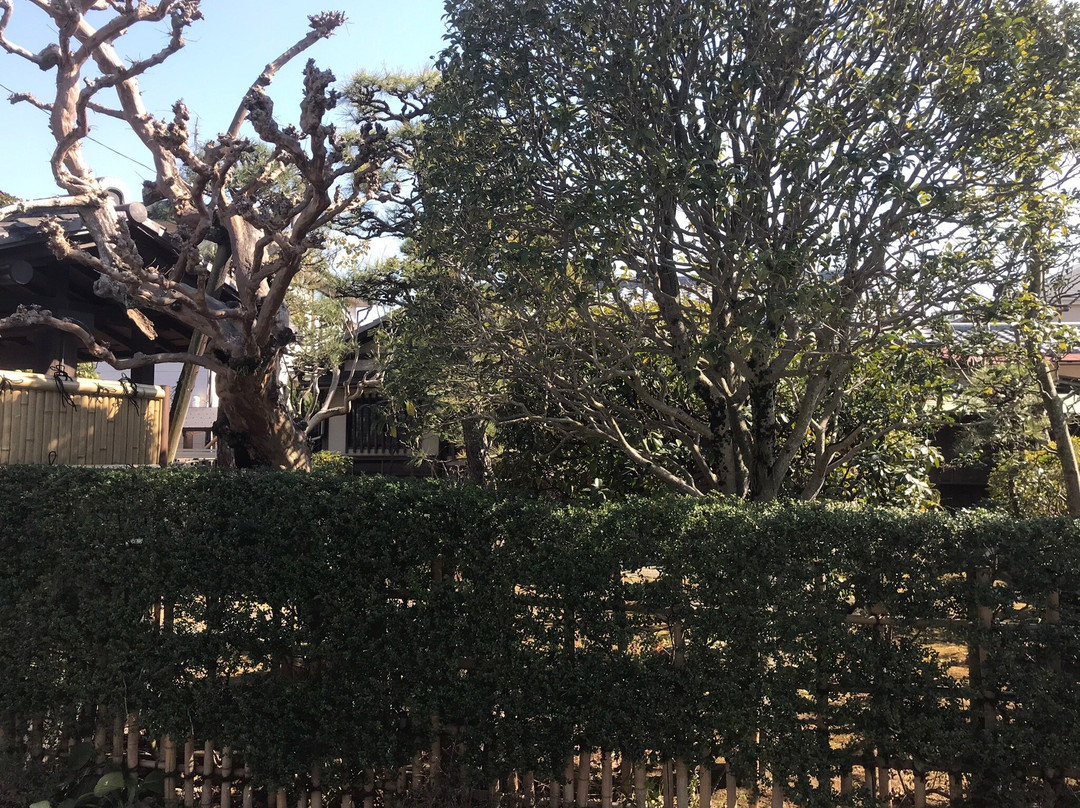 Mizuki Yoko Residence-市川市必去景点