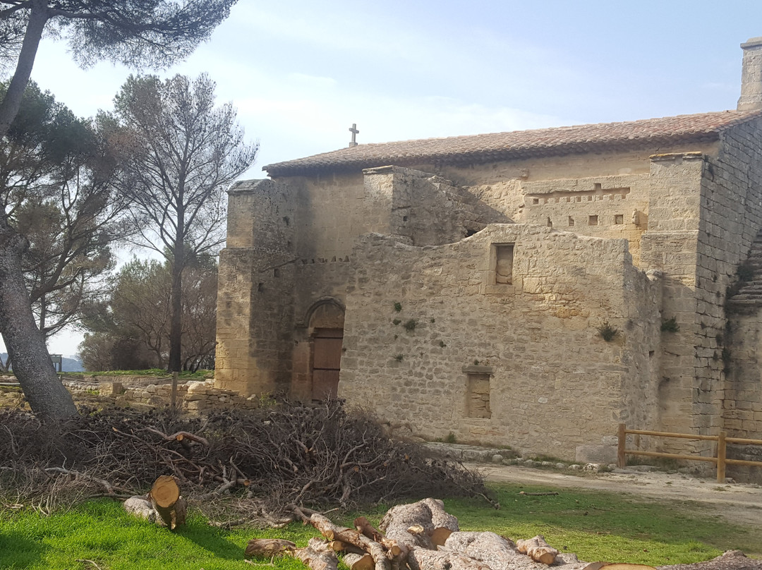 Oppidum de Saint-Blaise景点图片