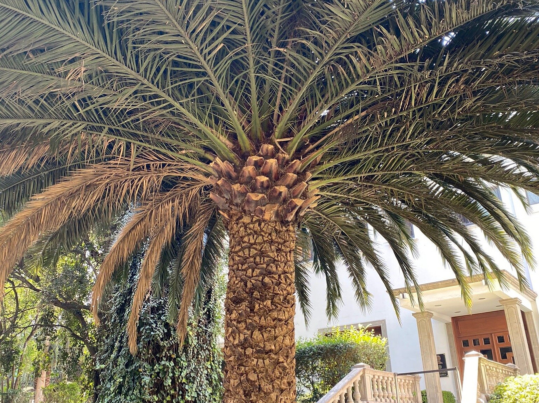 Los Pinos-墨西哥城必去景点