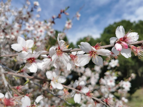 Casa Patata-Galapagar必去景点