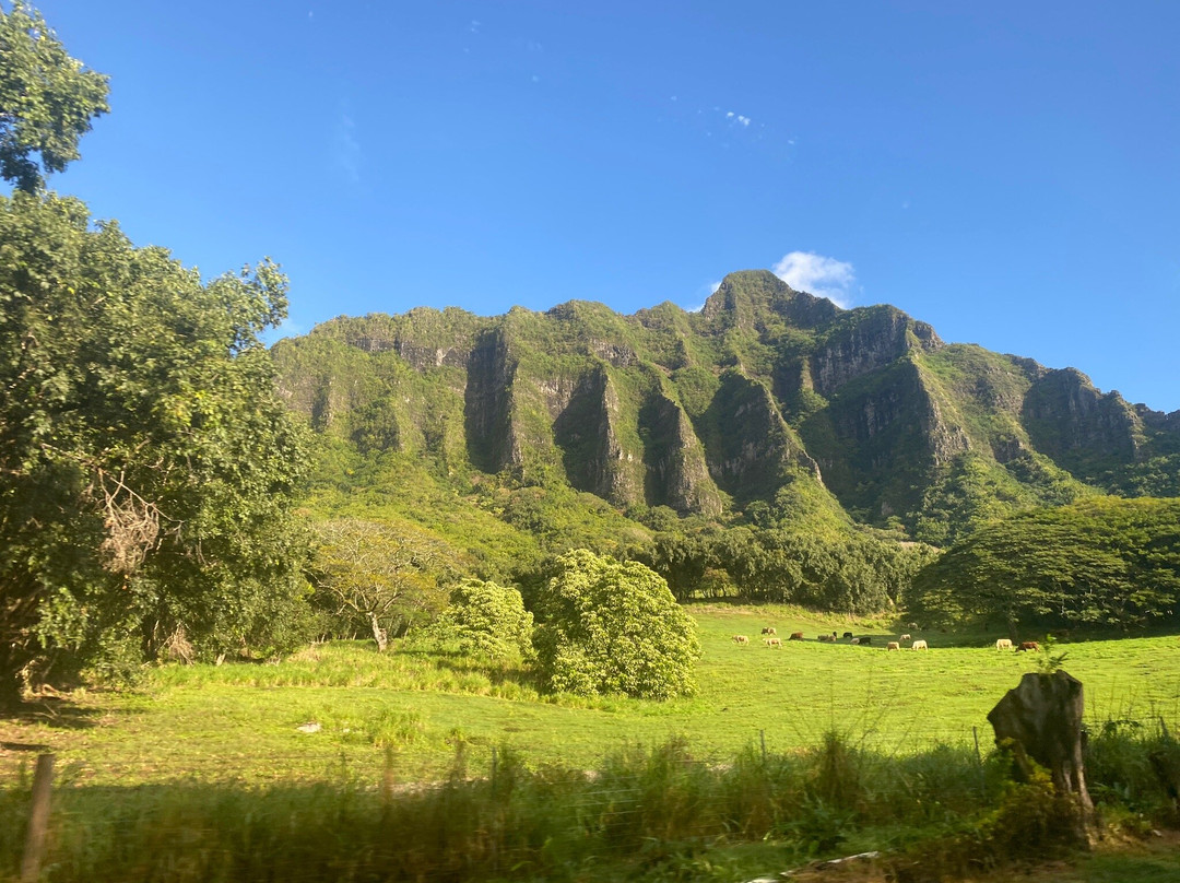North Shore Beach Boyz-哈雷瓦必去景点