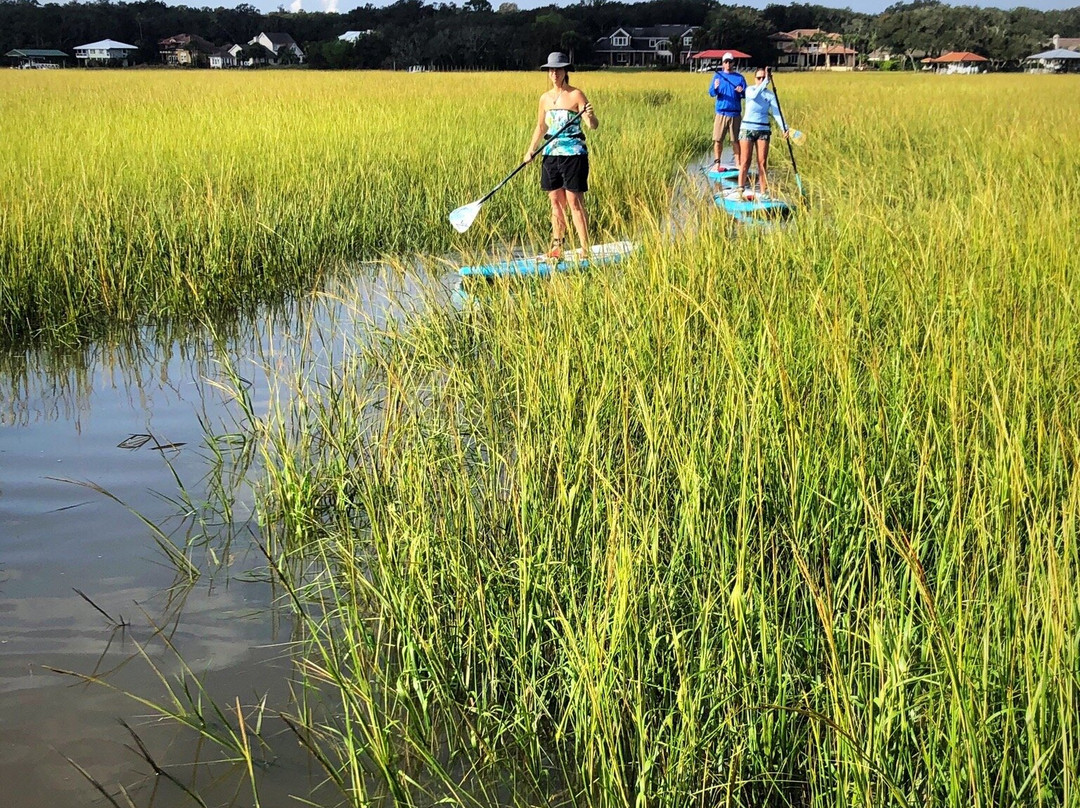 Amelia Island Paddle Surf Company-费尔南迪纳岛必去景点