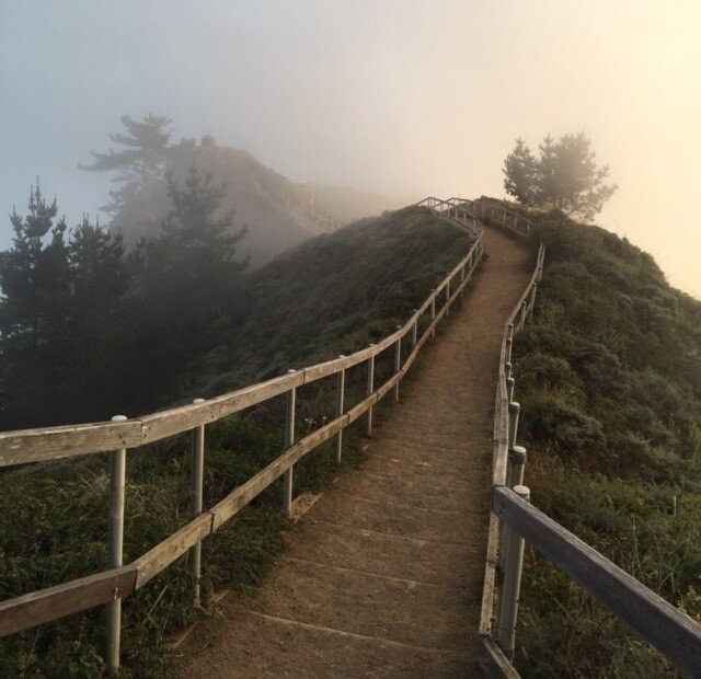 The Pelican Inn主图