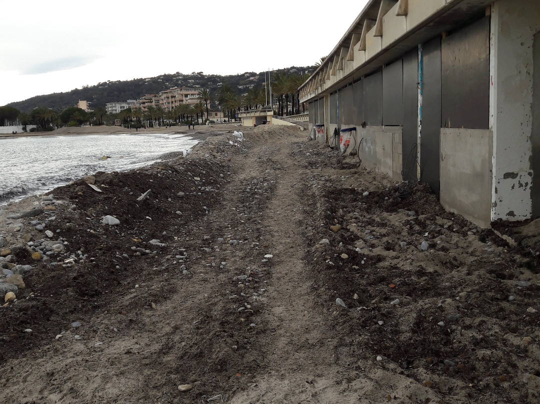 Plage du Midi-Golfe-Juan Vallauris必去景点