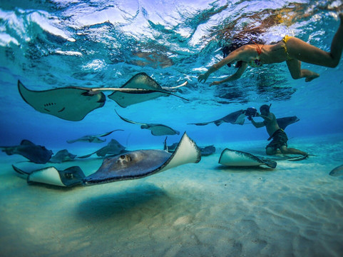 BestDeals In Punta Cana-巴瓦罗必去景点