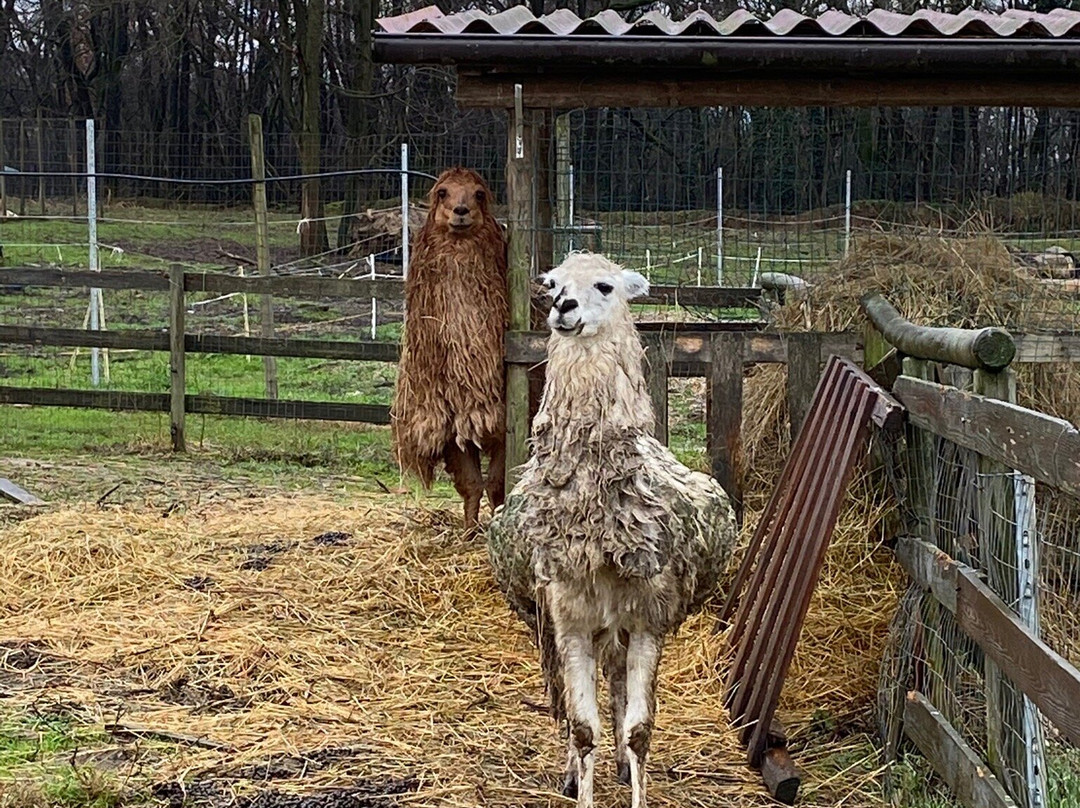 Cascina Beneficio主图