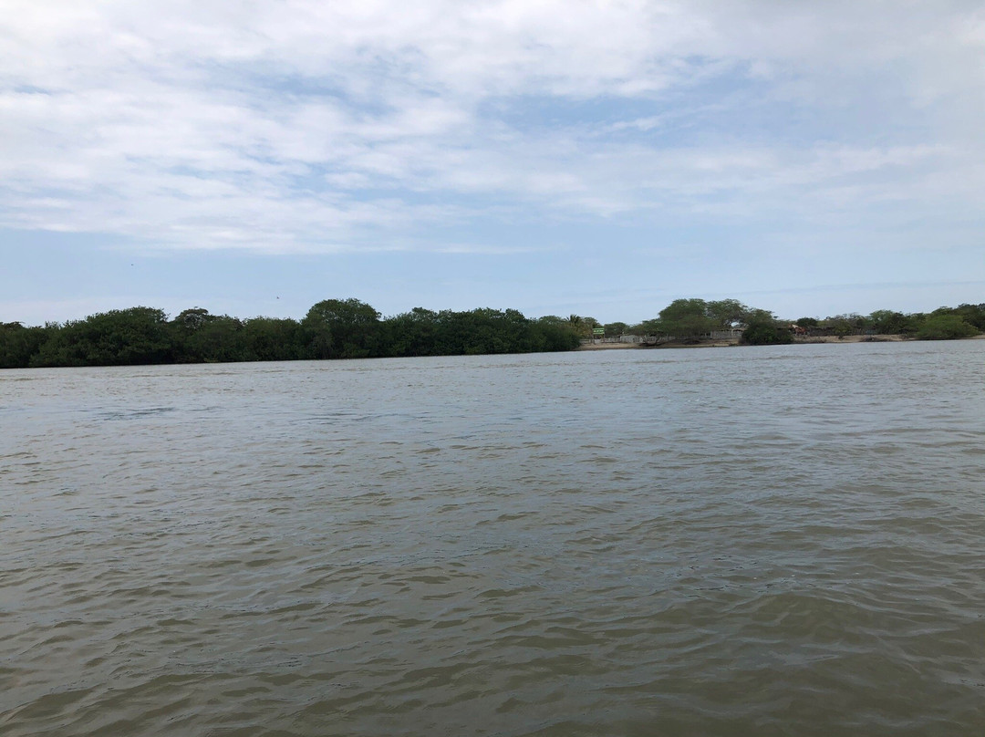 Los Manglares de Puerto Pizarro-Tumbes必去景点