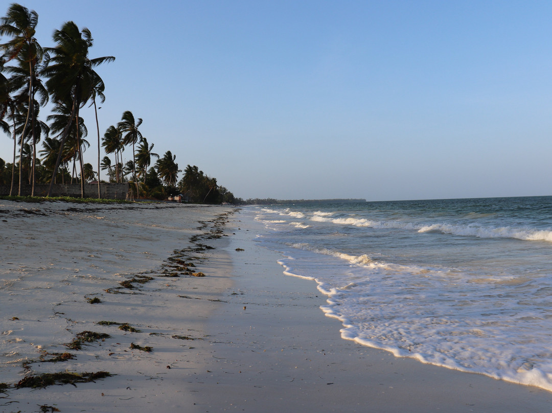 Golden Clove Beach Resort主图