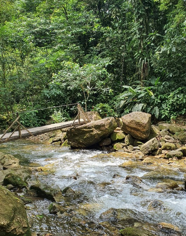 Cachoeiras do Ribeirao de Itu景点图片