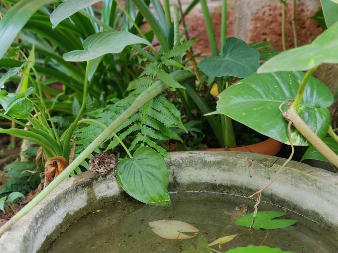 Atithi Parinay Homestay主图