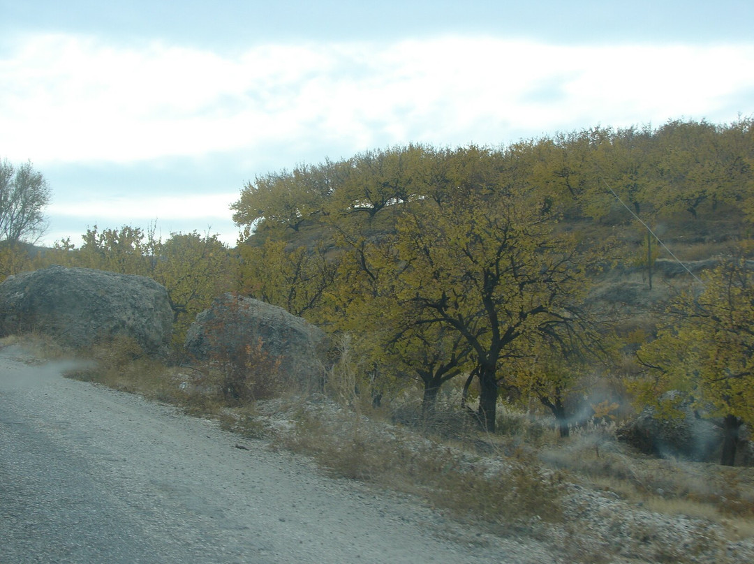 Yenice Maşettepe Tümülüsü-Darende必去景点