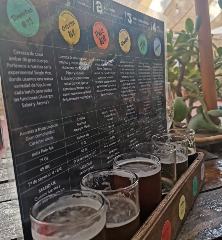 Guayacán Craft Brewery-Vicuna必去景点