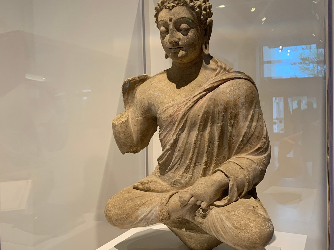 Harn Museum Of Art-盖恩斯维尔必去景点