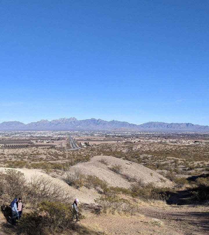 Recycled Roadrunner Sculpture-拉斯克鲁塞斯必去景点