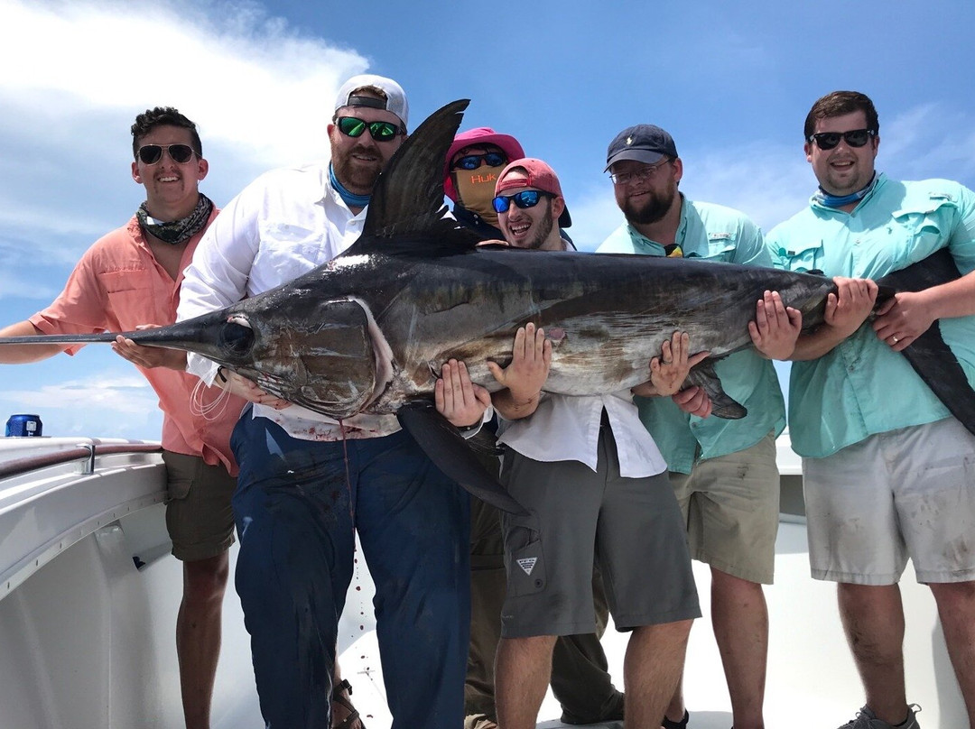 Paradise Outfitters-Venice必去景点